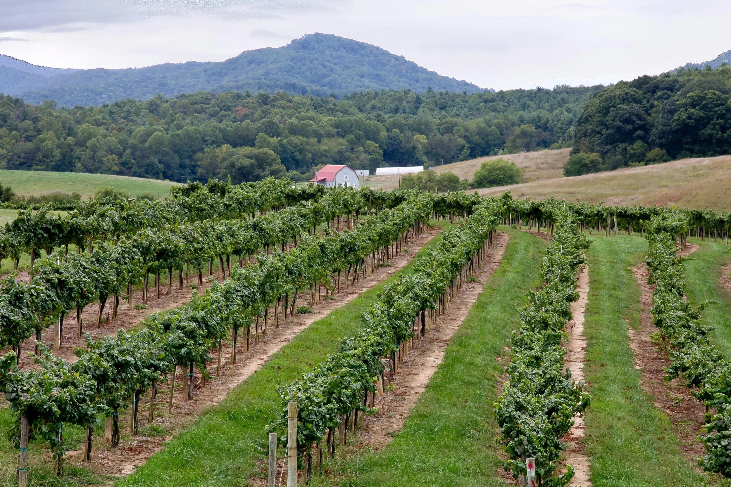 Rural Virginia property landscape